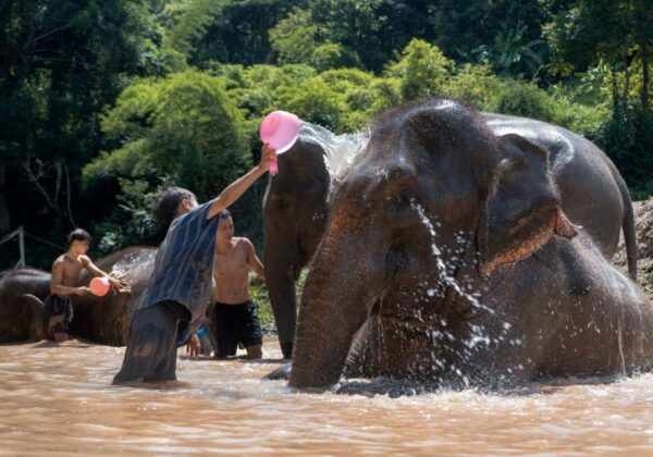 Chiang Mai: One Day Elephant Bamboo Rafting Waterfall - Common Questions