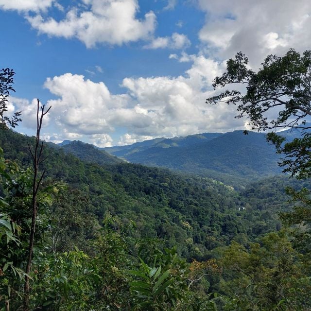 Chiang Mai: One Day, Only Walking Doi Saket Hiking. - Good To Know