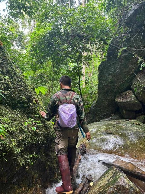 Chiang Mai: One Day, Only Walking Doi Saket Hiking. - Group Size and Guide Information