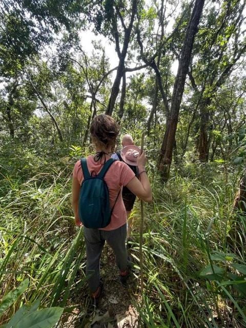 Chiang Mai: One Day, Only Walking Doi Saket Hiking. - Trek Itinerary