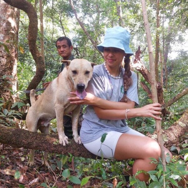 Chiang Mai: One Day, Only Walking Doi Saket Hiking. - Duration and Pickup Information