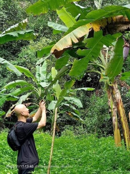 Chiang Mai: One Day, Only Walking Doi Saket Hiking. - Highlights of the Untouched Jungle