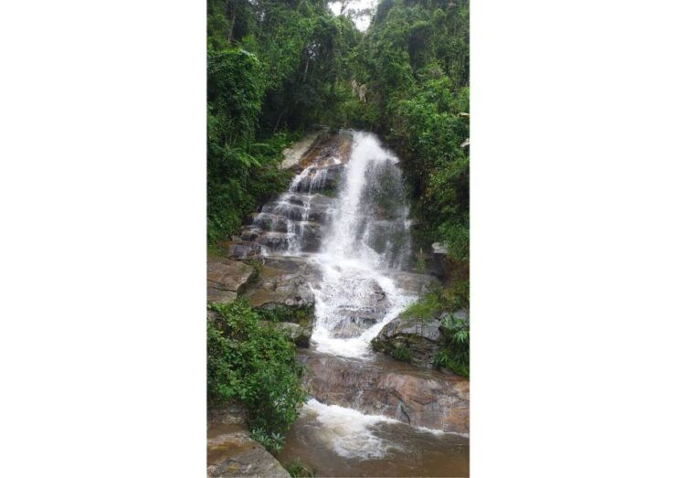 Chiang Mai: One Day Trek Doi Suthep & White Hmong Hill Tribe - Experience Highlights