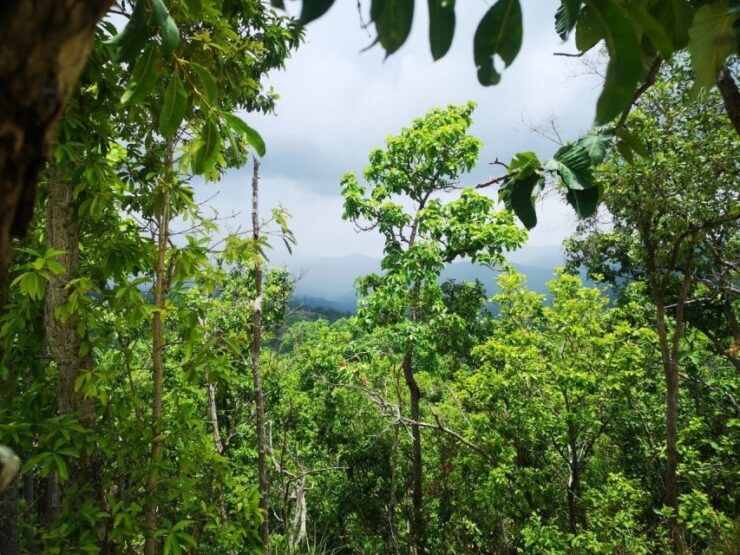 Chiang Mai: One Day Trek to Beautiful Local Village - Trekking Adventure Through Mae Wang Waterfall