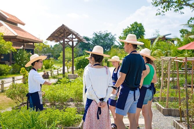 Chiang Mai Organic Farm Thai Cooking Class - Farm Visit and Introduction to Thai Ingredients