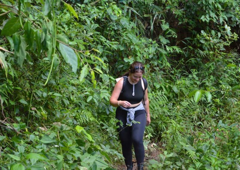 Chiang Mai: Overnight Doi Inthanon & Hands-Off Elephant Tour - Good To Know