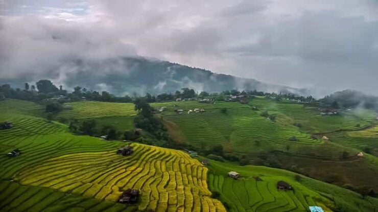 Chiang Mai : Pa Bong Piang Rice Terraces & Doi Inthanon - Overview of the Tour