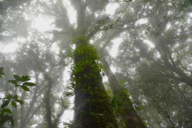Chiang Mai : Pa Bong Piang Rice Terraces & Doi Inthanon - Questions You May Have