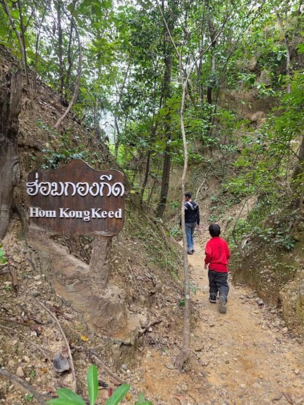 Chiang Mai: Pa Chor Canyon & Mae Ya Waterfall Day Trip - Analyzing the Value