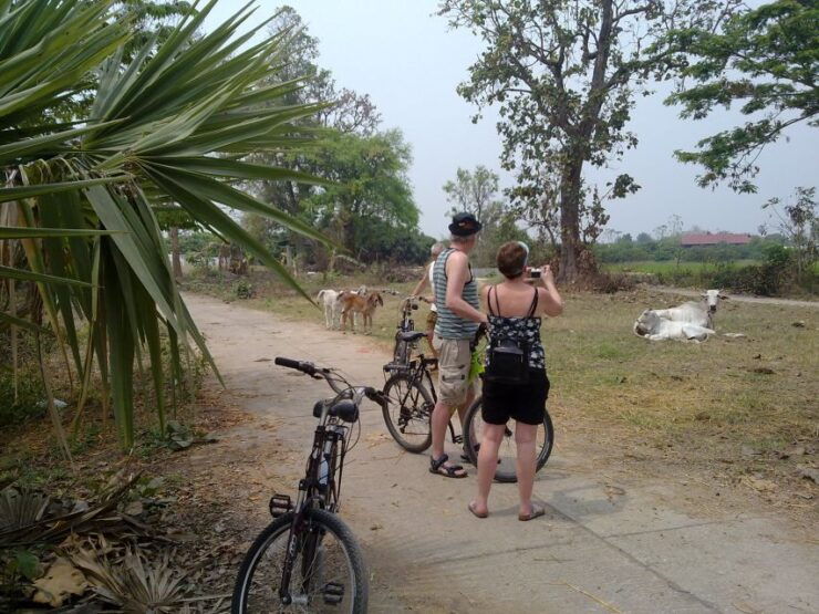 Chiang Mai Paradise Full Day Bicycle Tour - Activity Details