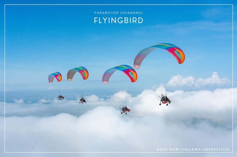 Chiang Mai: Paramotor Flight - Scenic Views & Transfers - The Logistics: Smooth and Well-Organized