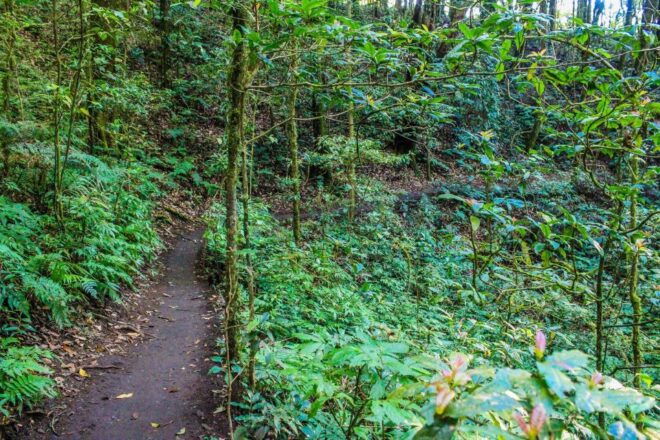 Chiang Mai: Pha Dok Siew Nature Trail & Doi Inthanon Trip - Customer Reviews