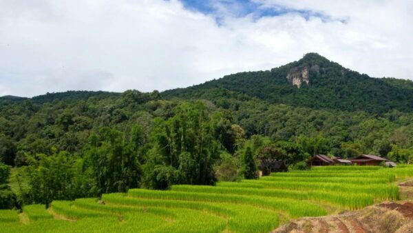 Chiang Mai: Pha Dok Siew Nature Trail & Doi Inthanon Trip - Common Questions
