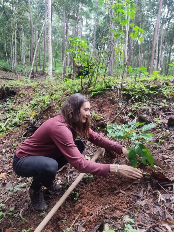 Chiang Mai: Plant a Tree Adventure Tour - FAQs