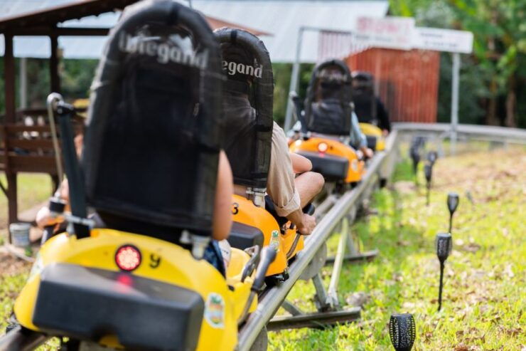 Chiang Mai: Pongyang Jungle Coaster and Zip Line Tour - Experience Highlights