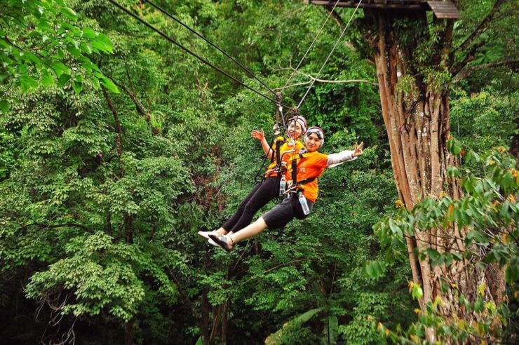 Chiang Mai : Pongyang Jungle Coaster Zipline - Booking Your Adventure