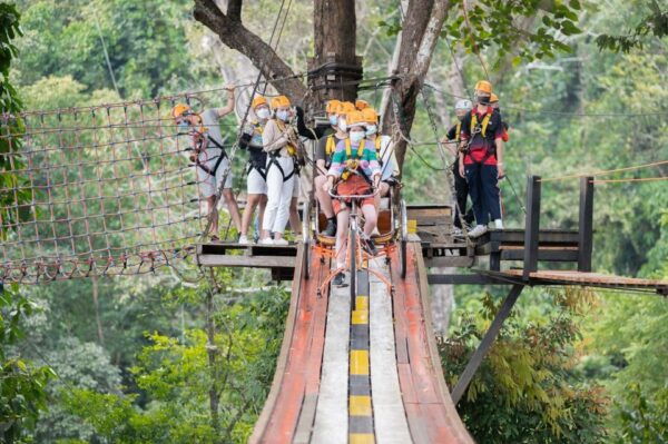 Chiang Mai: Pongyang Jungle Coaster & Zipline With Transfer - The Sum Up