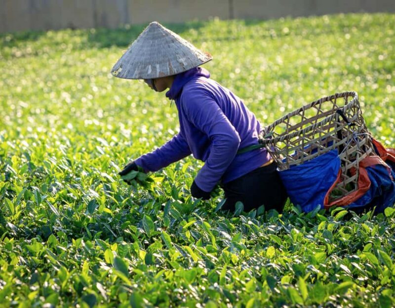 Chiang Mai: Private Chiang Rai Temples & Golden Triangle - White Temple (Wat Rong Khun)—A Modern Masterpiece