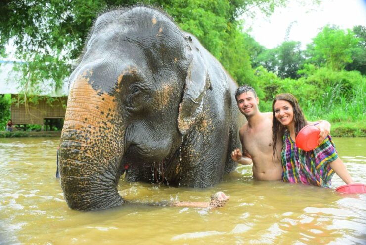 Chiang Mai: Private Elephant Care Experience for Couples - Activity Details