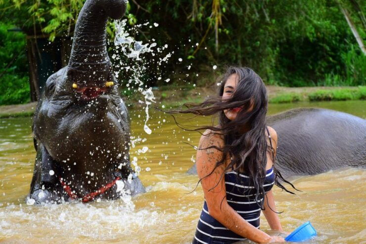 Chiang Mai: Private Elephant Care Experience for Couples - Experience Highlights