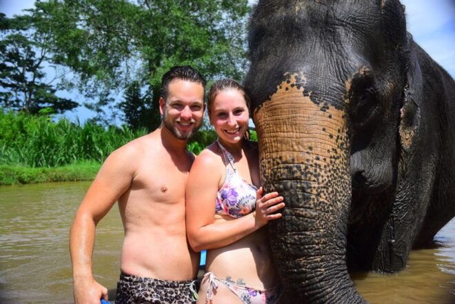 Chiang Mai: Private Elephant Care Experience for Couples - Reviews
