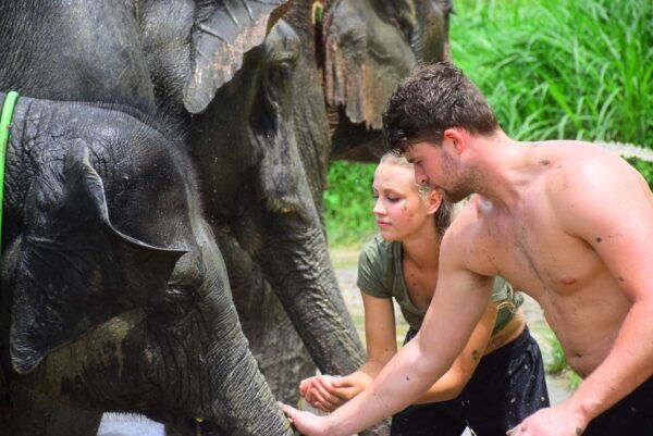 Chiang Mai: Private Elephant Care Experience for Couples - Common Questions