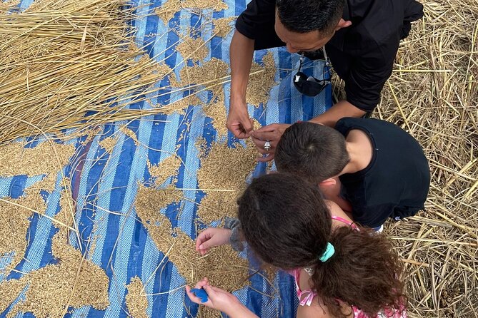 Chiang Mai Private Tour - Additional Information and Assistance