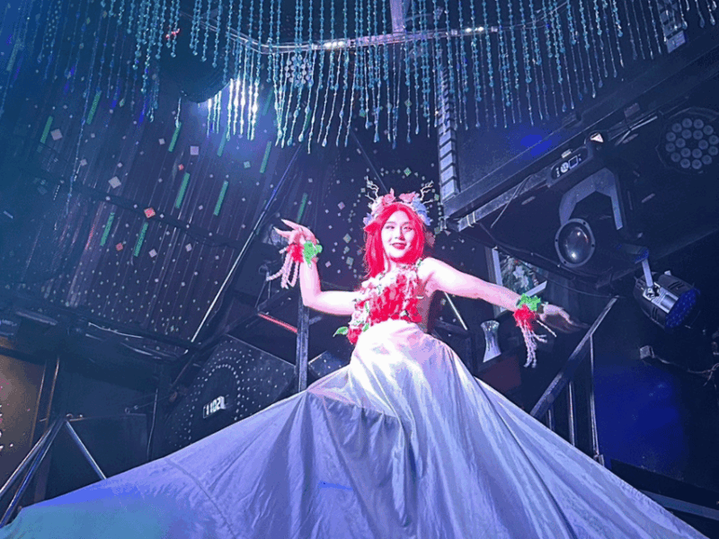 Chiang Mai: Queer Culture Unveiled With Transfer and Dinner - Itinerary and Activities