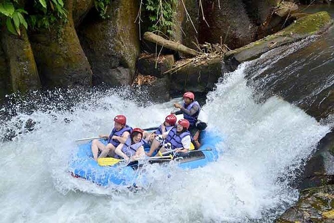 Chiang Mai - Rapids Mae Teang River - Inclusions and Activities