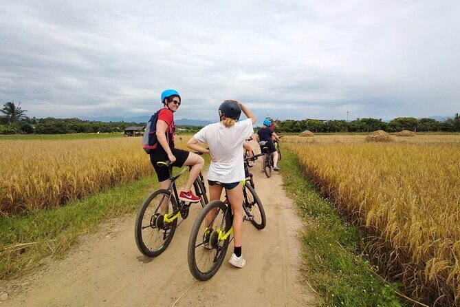 Chiang Mai Rice Fields Bike Tour Along Mae Ping River - Introduction