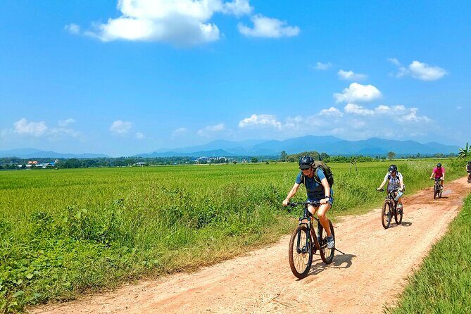 Chiang Mai Rice Fields Bike Tour Along Mae Ping River - Detailed Breakdown of the Itinerary