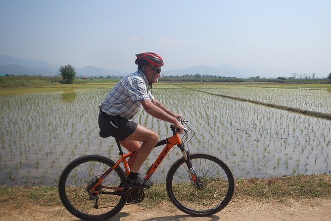 Chiang Mai Rice Fields Bike Tour Along Mae Ping River - The Experience from the Guides and Other Travelers