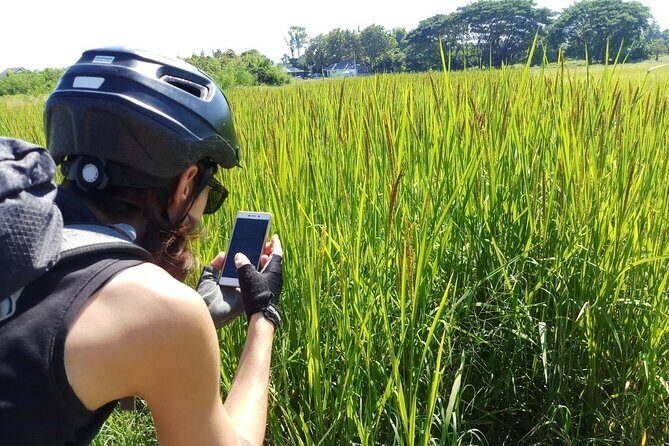 Chiang Mai Rice Fields Bike Tour Along Mae Ping River - Who Is This Tour Best For?