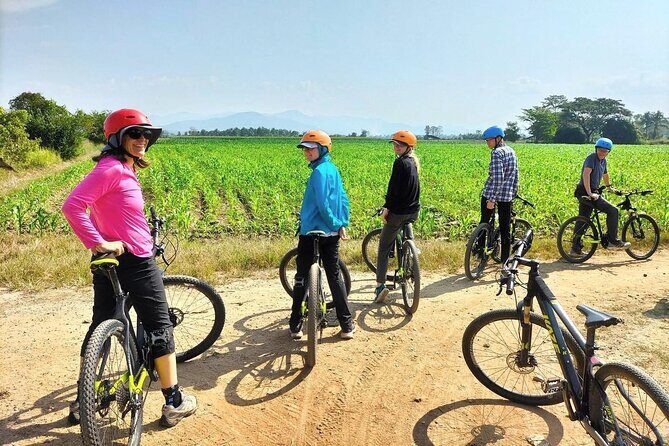 Chiang Mai Rice Fields Bike Tour Along Mae Ping River - The Experience in Detail