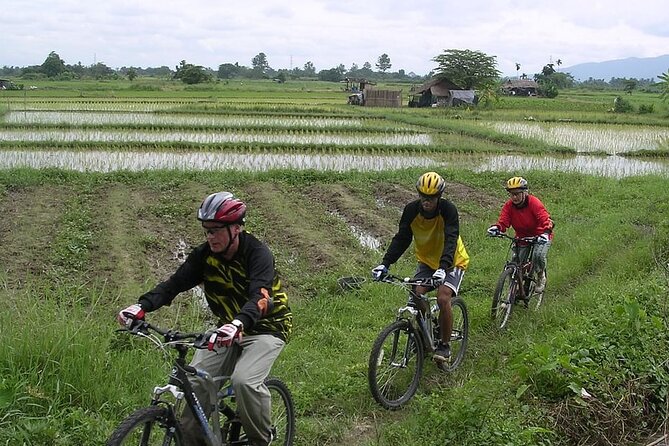 Chiang Mai Rice Fields Biking Tour - Biking Routes