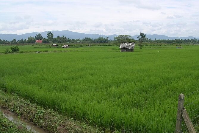 Chiang Mai Rice Fields Biking Tour - Booking Information