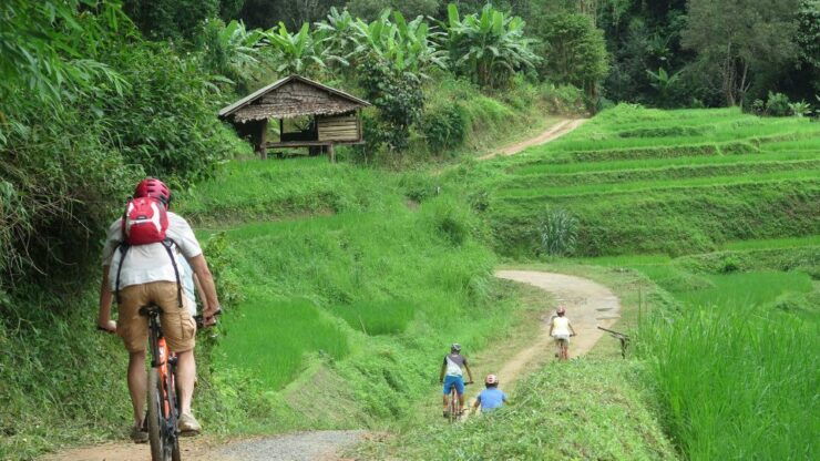 Chiang Mai: Rural Explorer Cycling Tour - Booking and Logistics
