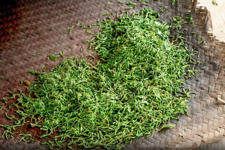 Chiang Mai: Sensation 3Days 2nights, Explore in Tea Village - Booking Details