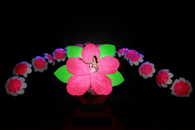 Chiang Mai: Siam Dragon Cabaret Show & Optional Transfer - Full Description