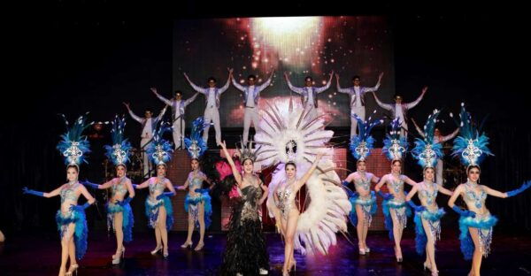 Chiang Mai: Siam Dragon Cabaret Show & Optional Transfer - Meeting Point and Logistics