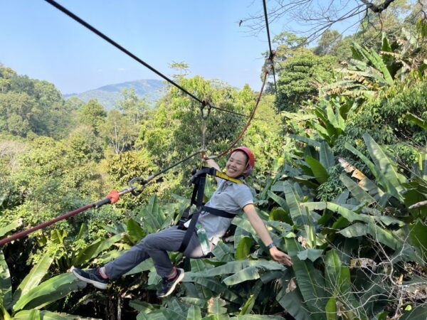 Chiang Mai: Sky Hawk Zip Lining With Transfer & Buffet Lunch - Value for Money