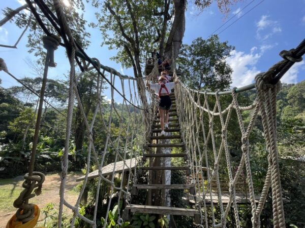 Chiang Mai: Sky Hawk Zip Lining With Transfer & Buffet Lunch - Common Questions