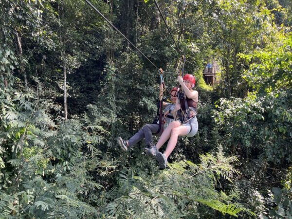 Chiang Mai: Sky Hawk Zip Lining With Transfer & Buffet Lunch - The Sum Up