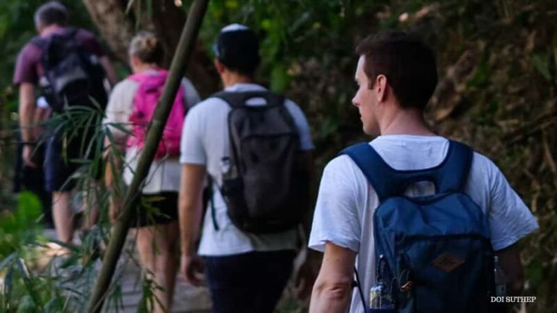 Chiang Mai: Small-Group Downhill Eco Walk to Waterfall - Good To Know