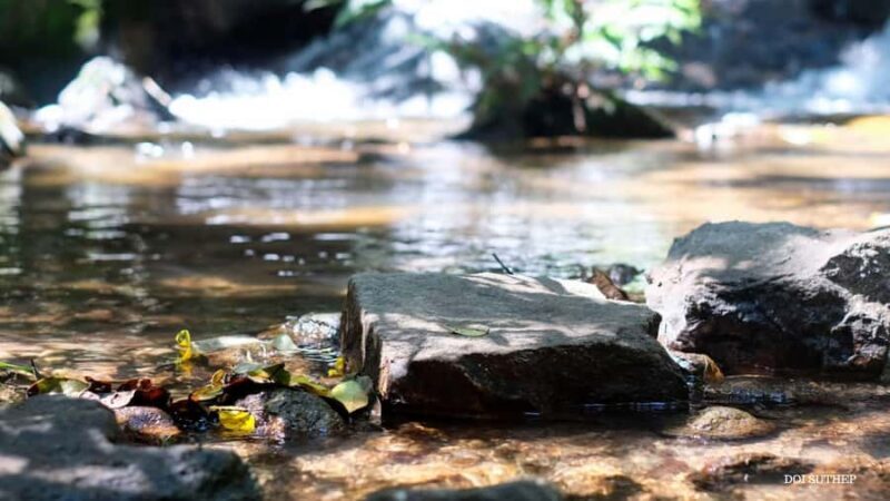 Chiang Mai: Small-Group Downhill Eco Walk to Waterfall - FAQ