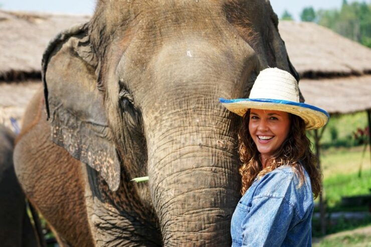 Chiang Mai: Small Group Ethical Elephant Sanctuary Tour - Experience Highlights