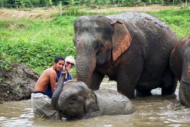 Chiang Mai: Small Group Ethical Elephant Sanctuary Tour - Review Summary