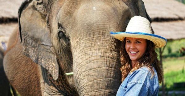 Chiang Mai: Small Group Ethical Elephant Sanctuary Tour - Tour Logistics