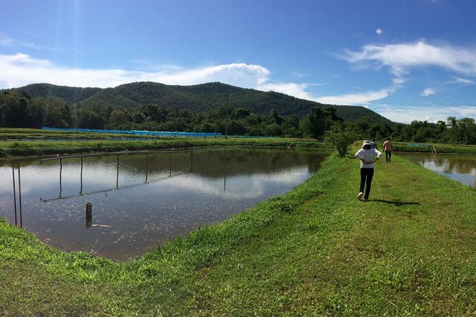 Chiang Mai - Small Group : Weaving Experience in a Local Village - Directions