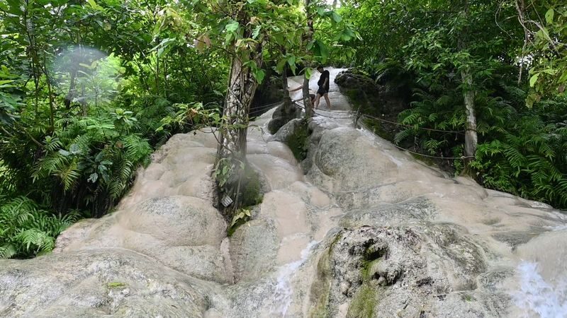 Chiang Mai Sticky Waterfall & 12 Zodiac Temple Guided Tour - What to know before you go